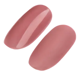 GEL POLISH #066